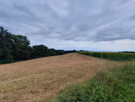 vente terrain 82330 m² à sault-de-navailles (64300)  50 000 €