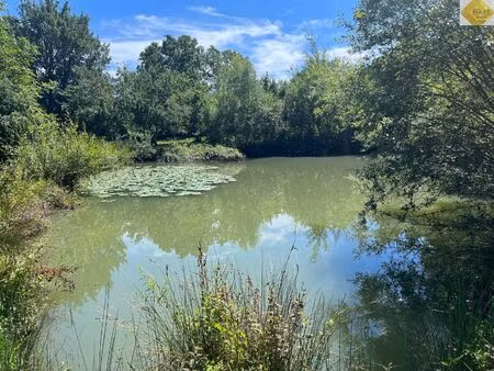 terrain de loisir de 1.07 hectare avec mare commune de pleumartin