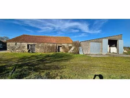 vente maison à chavagnes-en-paillers (85250) : à vendre / 309m² chavagnes-en-paillers