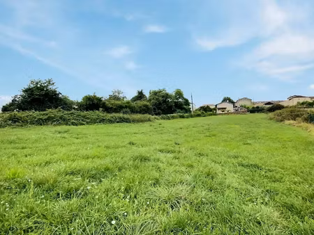 vente terrain 3067 m² à pellegrue (33790)  48 000 €