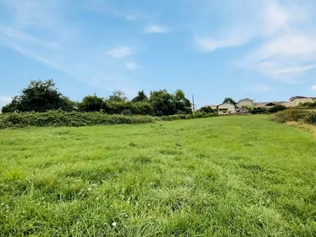 terrain constructible