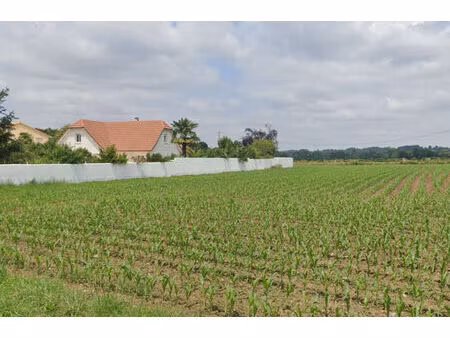 vente terrain 915m2 artigueloutan 64420 - 99000 € - surface privée