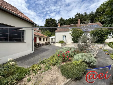 vente immeuble 217 m² nevoy (45500)