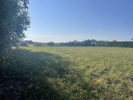 vente terrain 1400 m² à bonnut (64300)  34 500 €