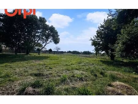 terrain port-des-barques m² t- à vendre  138 500 €