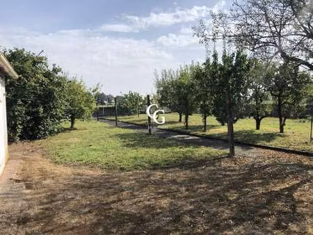 vente terrain à vieillevigne (44116) : à vendre / 929m² vieillevigne