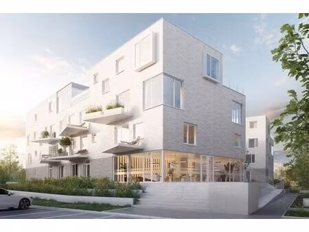 penthouse 2 chambres situé dans la résidence o'escaut à anto