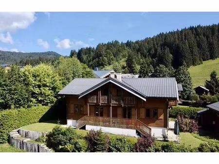 vue panoramique  à côté des pistes et terrain constructible