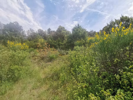 terrain à batir 3500m2