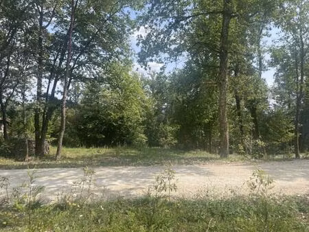 terrain boisé constructible à vendre à trélissac  près de périgueux. 1.500m²