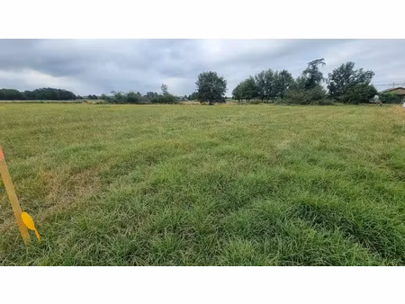 vente terrain 2631 m² à nègrepelisse (82800)  55 000 €