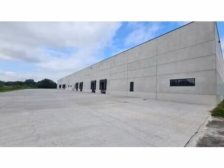 manage logistics 10.000 m²- divisible à partir de 2.500 m²