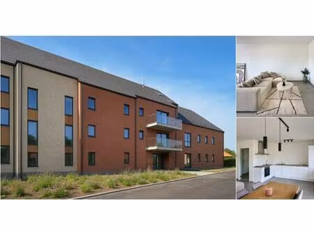 rez-de-chaussée à vendre à chemin de chièvres 13 brugelette (vba94295)