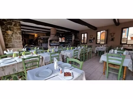 vente hôtel particulier 12 pièces