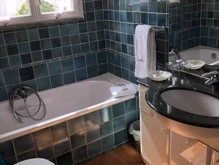 vente hôtel particulier 10 pièces