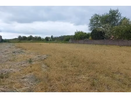 vente terrain à batir  proche bourg  commerces  transports et bords de sèvre