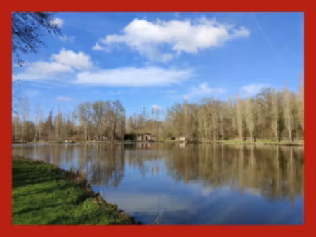 vente 2 étangs poissonneux chalet avec eau