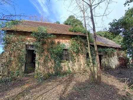 vente batisse à restaurer sur 3600m² de terrain