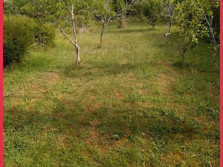 vente terrain 995 m2 au trevoux