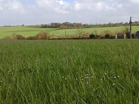 vente terrains constructibles reste 2 lots pouillé les coteaux