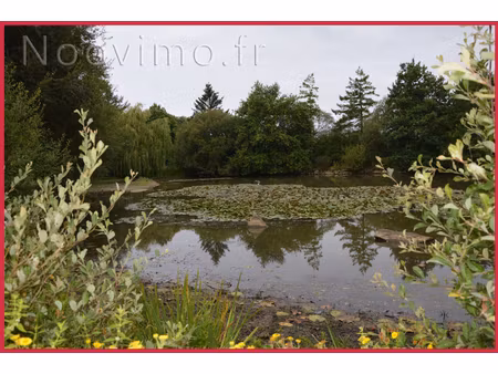 vente terrain avec etang