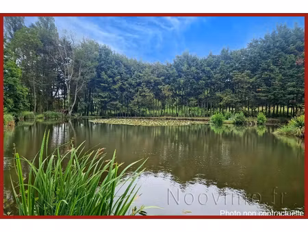 vente superbe terrain de loisirs avec étang / caravane et abris