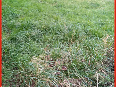 vente terrain de 592 m2 à scaer