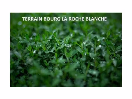 vente terrain constructible de 800m² la roche blanche