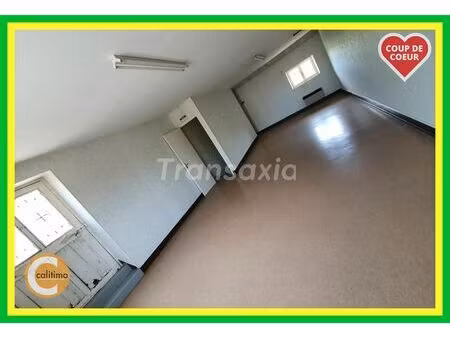 vente maison 2 pièces 233 m² blet (18350)