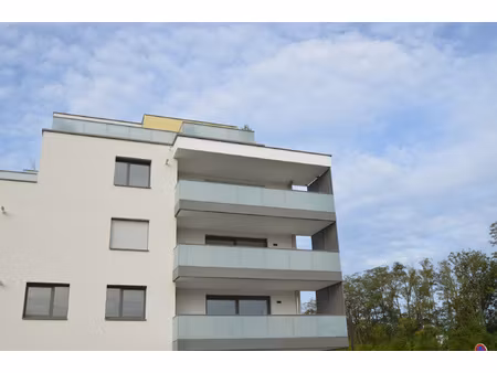 brunstatt 2 pièces neuf à vendre