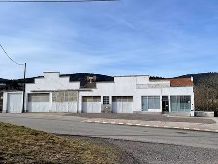 ténement immobilier entrepots  bureaux  et appartement saint priest la prugne