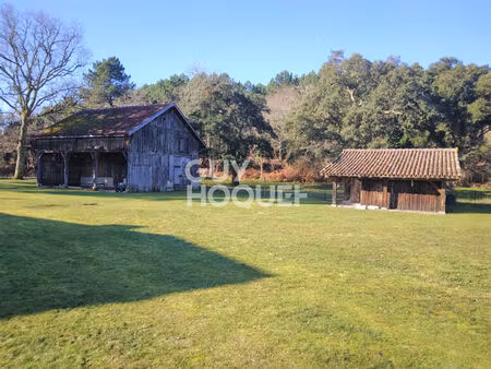 frouas centre appartement de 6 pièces dans un corps de ferme en bordure de forêt