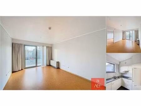 appartement à louer à leuvensesteenweg 190 kortenberg (rbj61133)