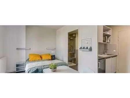 vente appartement 1 pièce 19 m² palaiseau (91120)