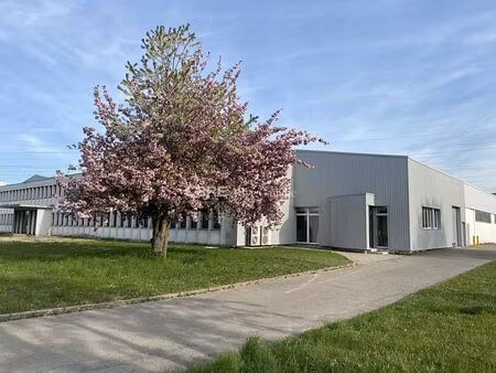 location bureau geispolsheim 500 m²