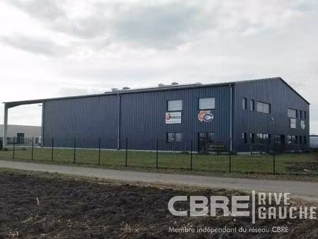 location bureau kilstett 150 m²