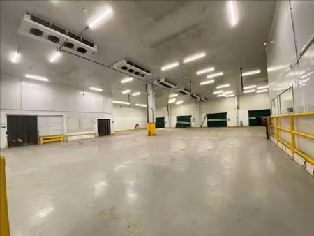 location entrepôt / local d'activités rungis 1 266 m²