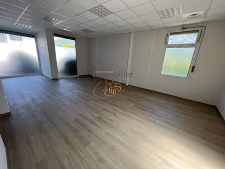 location locaux professionnels 5 pièces 48 m² à saint-affrique (12400)  390 €