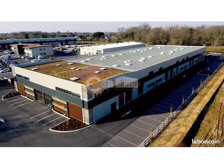 local d'activité 367 m²