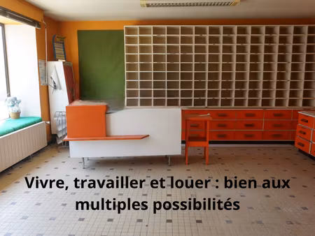 à vendre : maison de maître avec dépendances et local commercial à ambillou idéale pour un