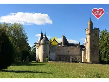 vente maison 17 pièces 900 m² blet (18350)