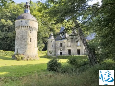 vente château 13 pièces