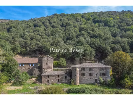 vente château 9 pièces 330 m² à sainte-croix-vallée-française (48110)  590 000 €