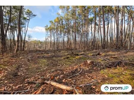 vente maison 1570 m² châtillon-sur-cher (41130)