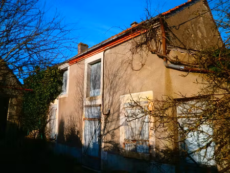 vente maison 3 pièces 55 m² les bordes (36100)