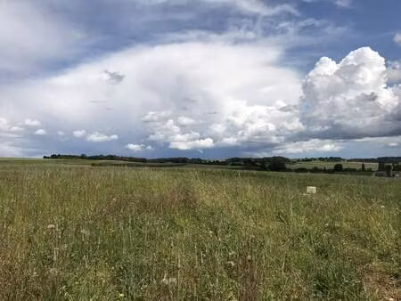 vente terrain 2419 m² avon-les-roches (37220)