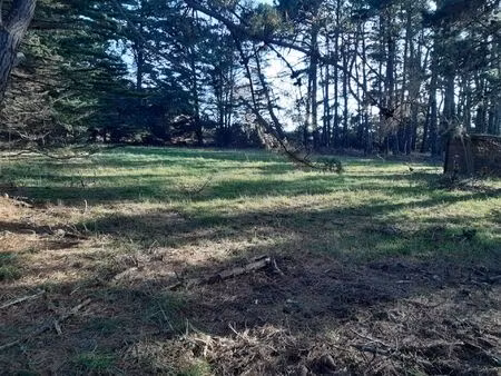 exceptionnel : terrain arboré de 2 800m²