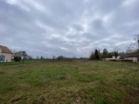 vente terrain 22810 m² baugy (18800)