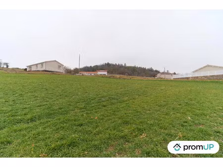 vente terrain 1263 m² beaulieu (43800)