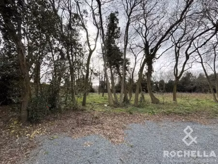 vente terrain 774 m² à bourgneuf (17220)  228 000 €